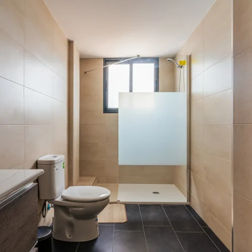 Baño con plato de ducha